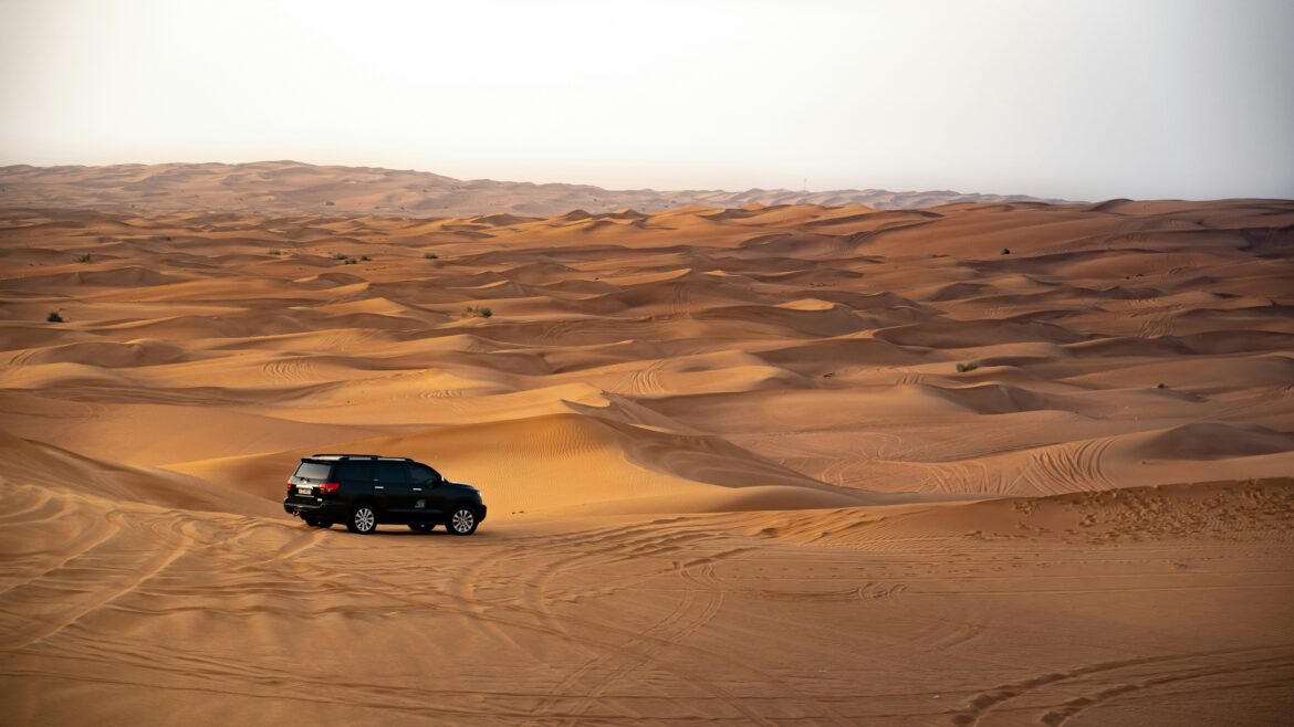 What Are The Different Desert Safari Trips in Dubai ? What Are The Different Desert Safari Trips in Dubai ?
